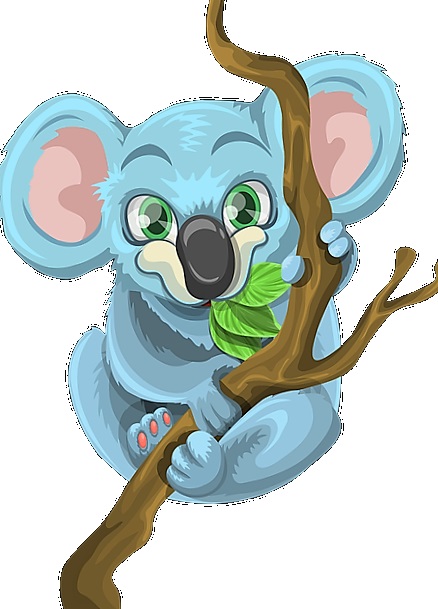 koala-1454493_640
